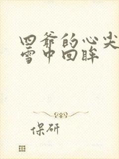 四爷的心尖宠妃雪中回眸封面