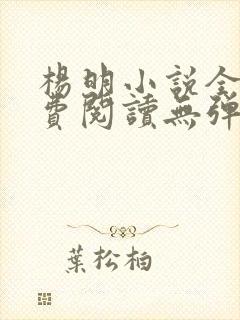 杨明小说全文免费阅读无弹窗封面