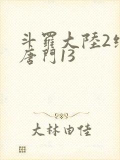 斗罗大陆2绝世唐门13