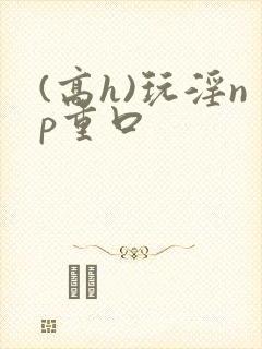 (高h)玩淫np重口
