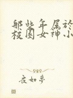 那些年属于我的校园女神小说封面