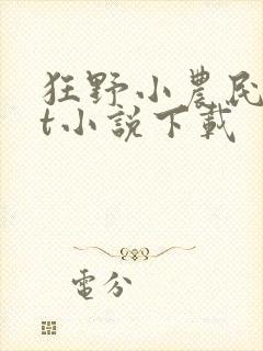 狂野小农民txt小说下载