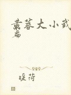 黄蓉大小武番外篇