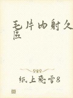 毛片内射久久一区