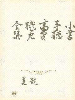 全职高手小说全集免费听书