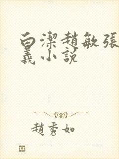 白洁赵敏张倩高义小说