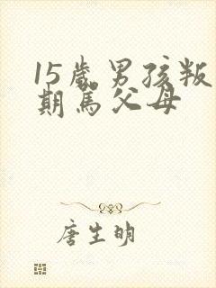 15岁男孩叛逆期骂父母