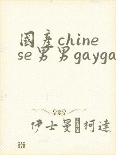 国产chinese男男gaygay网站2025