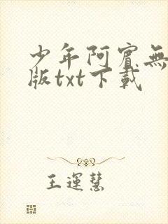 少年阿宾无删减版txt下载