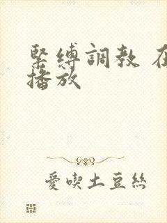 紧缚调教 在线播放