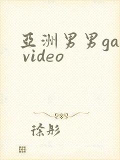 亚洲男男gay video