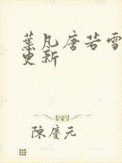 叶凡唐若雪王婿更新