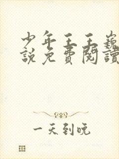 少年王王巍的小说免费阅读封面