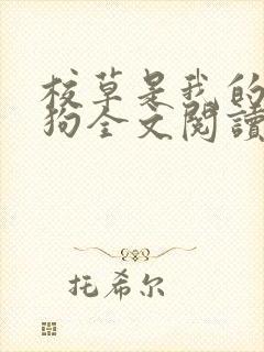 校草是我的宠物狗全文阅读无弹窗