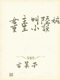 女主叫陆婉婉的重生小说