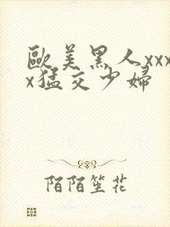 欧美黑人xxxx猛交少妇