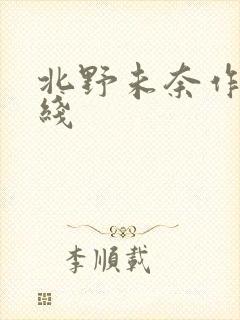 北野未奈作品在线