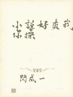 小说好爽我要被你操