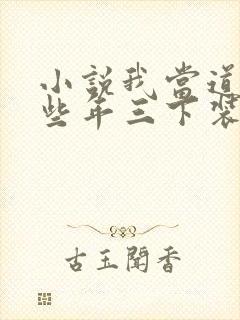 小说我当道士那些年三下装电子书