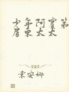 少年阿宾第一章房东太太