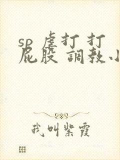 sp 虐打 打屁股 调教小说封面