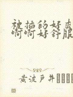 被插的好爽啊啊啊啊好舒服啊啊啊啊