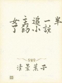 女主追一半不追了的小说封面