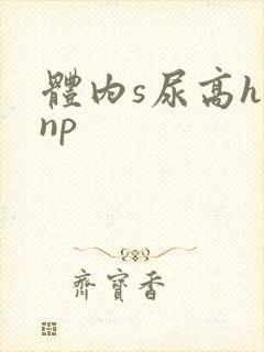 体内s尿高h文np