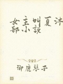 女主叫夏沐的全部小说