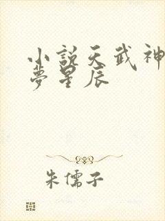 小说天武神帝醉梦星辰