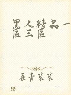 黑人精品一区二区三区