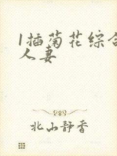 1插菊花综合网人妻