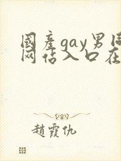 国产gay男同网站入口在线观看