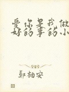 爱你是我做过最好的事的小说