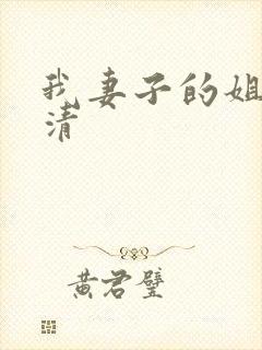 我妻子的姐姐高清封面