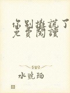 你别撒谎了小说免费阅读