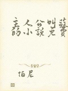 主人公叫苏天辰的小说免费阅读