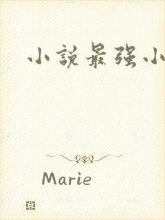 小说最强小村民