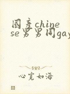 国产chinese男男同gaygay网站封面