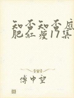 知否知否应是绿肥红瘦17集