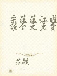 宋蕴蕴江曜景小说全文免费阅读