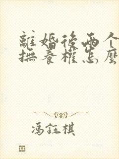 离婚后两个孩子抚养权怎么判定的封面