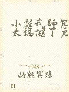 小说我师兄实在太稳健了免费完本封面