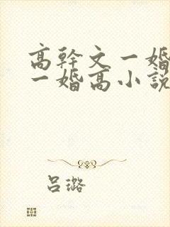 高干文一婚还比一婚高小说