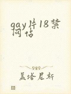 gay片18禁网站封面