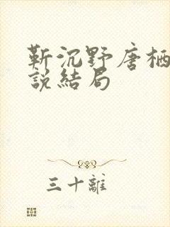 靳沉野唐栖雾小说结局