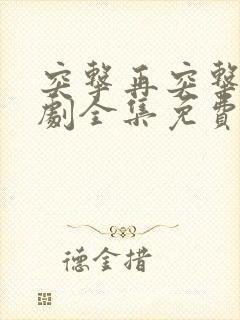 突击再突击电视剧全集免费观看高清播放封面