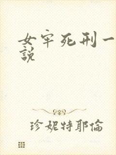 女牢死刑一号小说