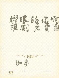 耀眼的你啊 电视剧 免费观看