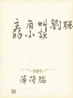 主角叫刘聪赵兰的小说